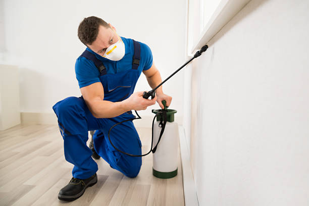 Pest Control Services You Can Depend On